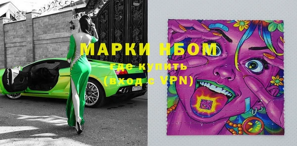 гашик Алексин