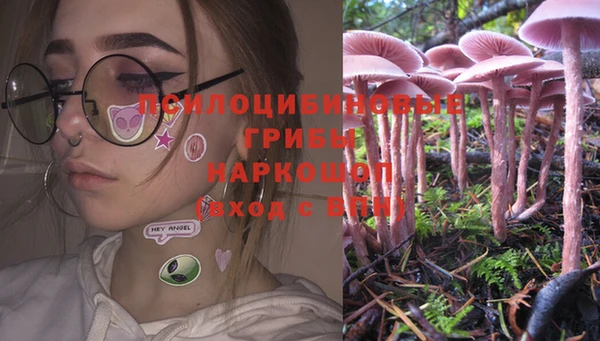 PSILOCYBIN Абинск