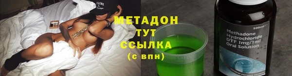 гашик Алексин